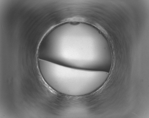 X0000075841248200609150903
