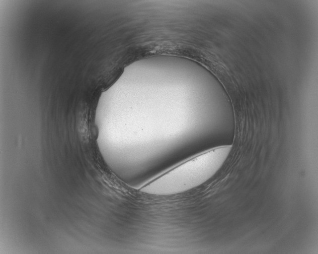 X0000075841250200609150903
