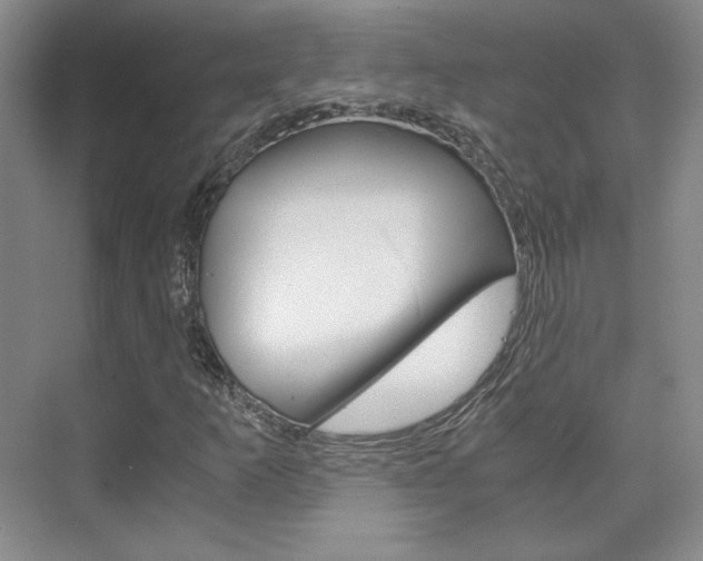 X0000075841253200609150903