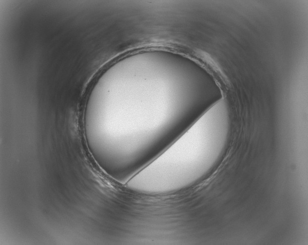 X0000075841260200609150902
