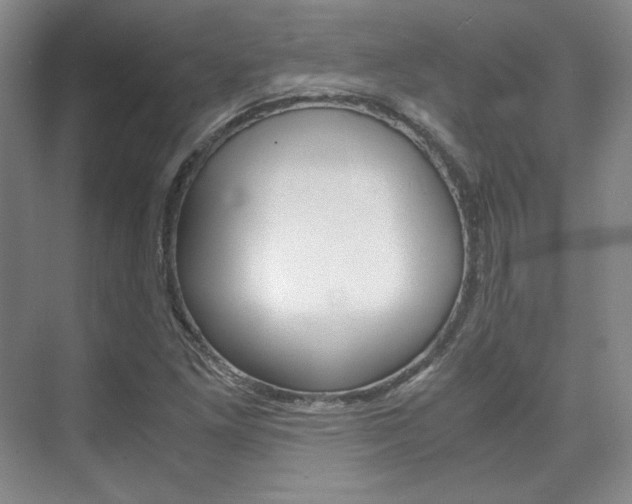 X0000075841261200609150902