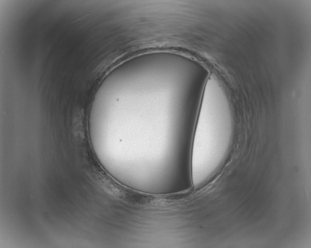 X0000075841265200609150902