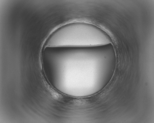 X0000075841272200609150902