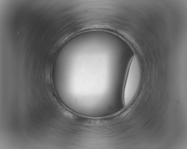 X0000075841273200609150902