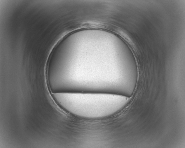 X0000075841283200609150902