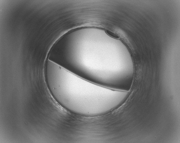X0000075841284200609150902