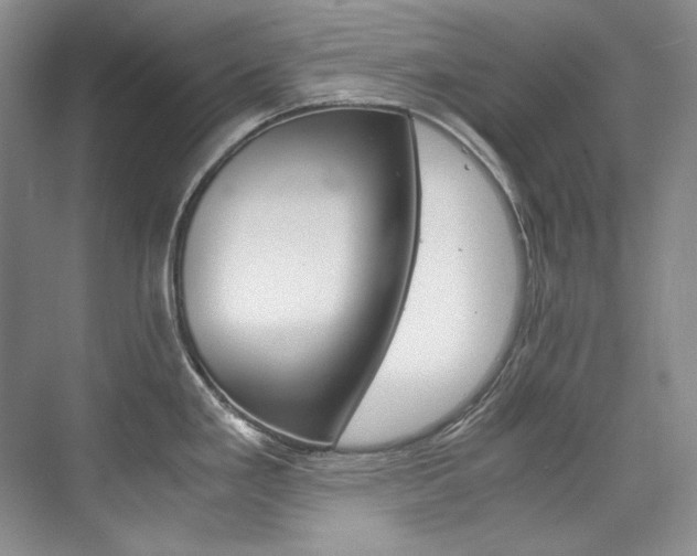 X0000075841293200609150902