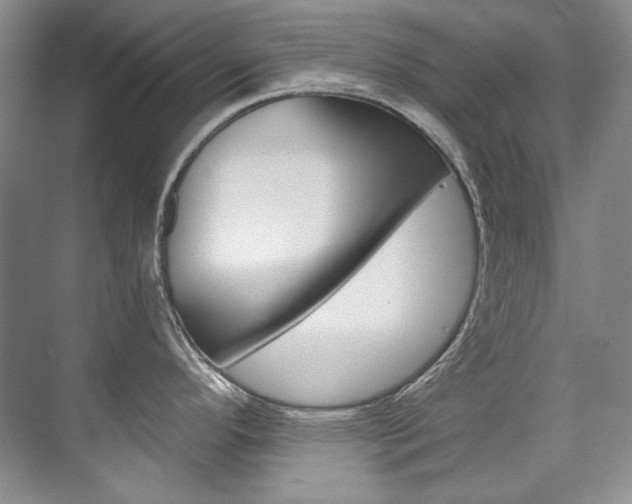 X0000075841296200609150902