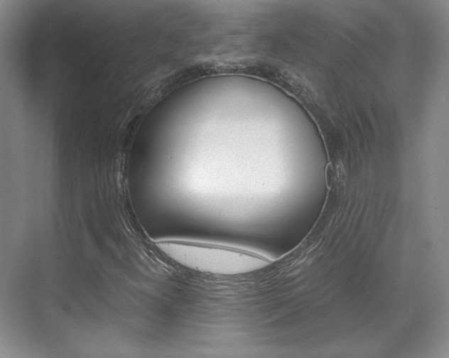 X0000075841300200609150901