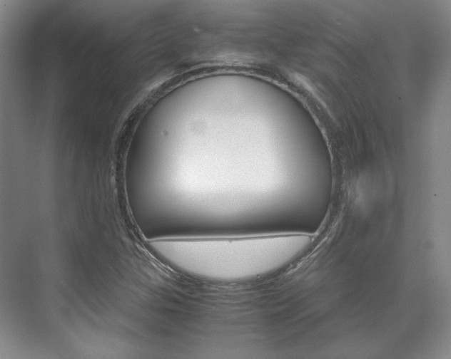 X0000075841307200609150901