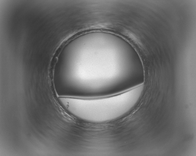 X0000075841308200609150901
