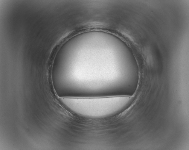 X0000075841309200609150901