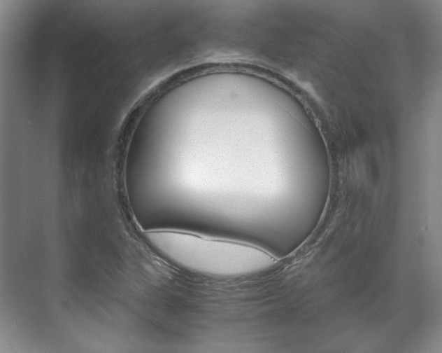 X0000075841311200609150901