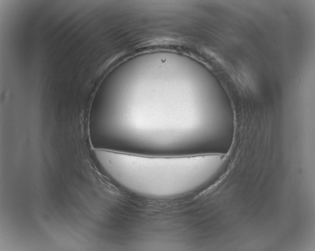 X0000075841313200609150901