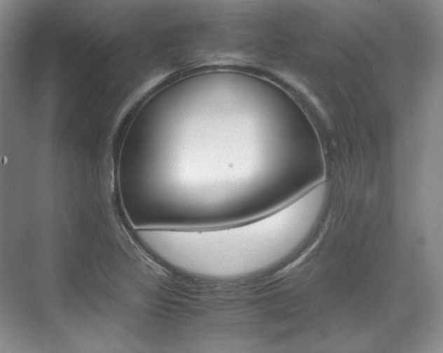 X0000075841317200609150901