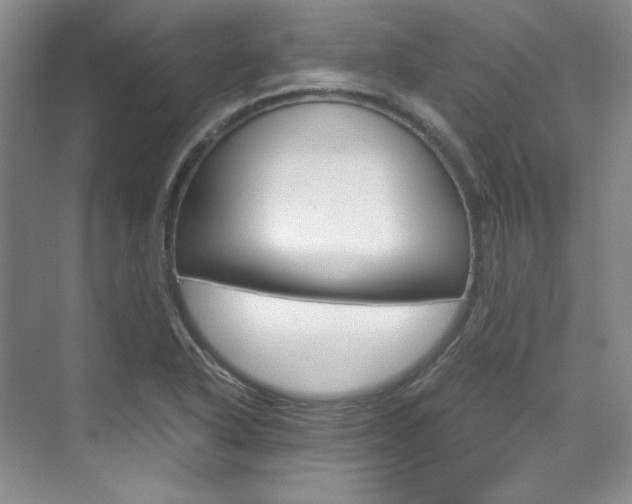 X0000075841318200609150901