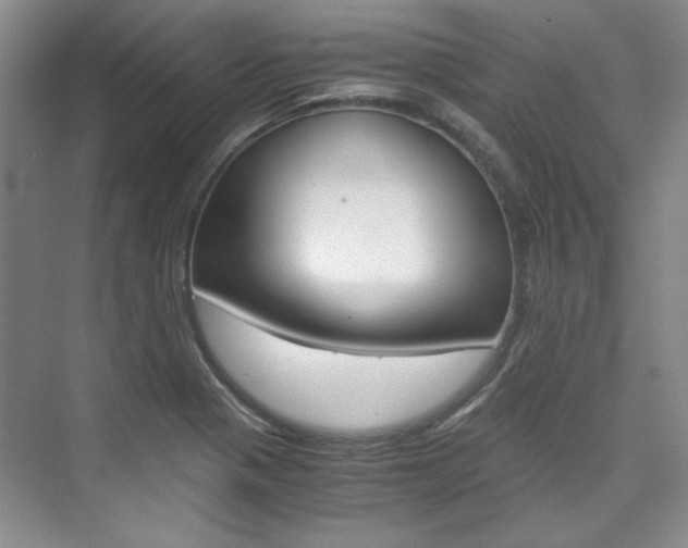 X0000075841321200609150901