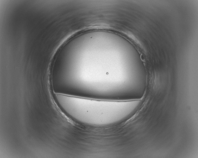 X0000075841325200609150902