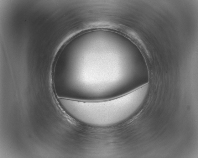 X0000075841328200609150902