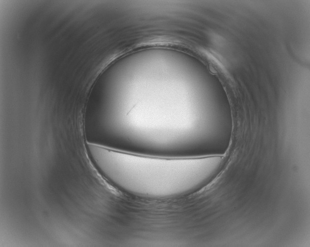 X0000075841329200609150902