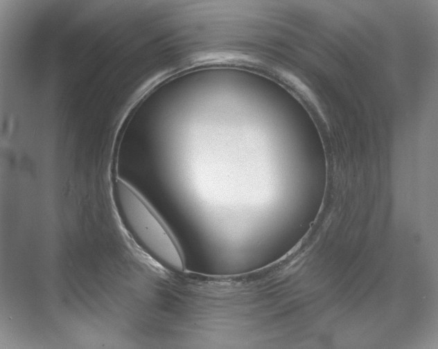 X0000075841330200609150902