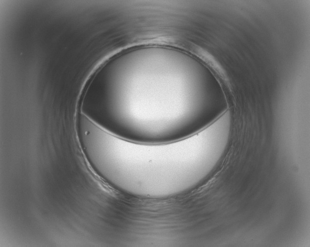 X0000075841332200609150902