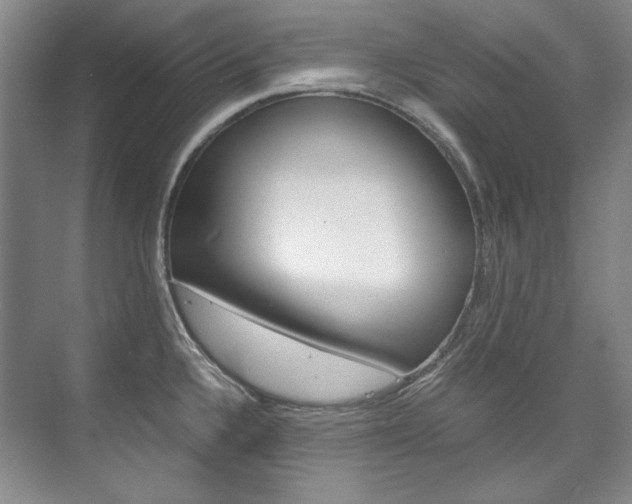 X0000075841336200609150902