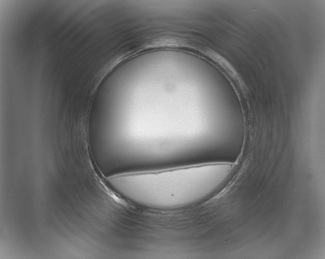 X0000075841337200609150902