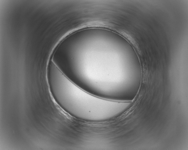 X0000075841342200609150902