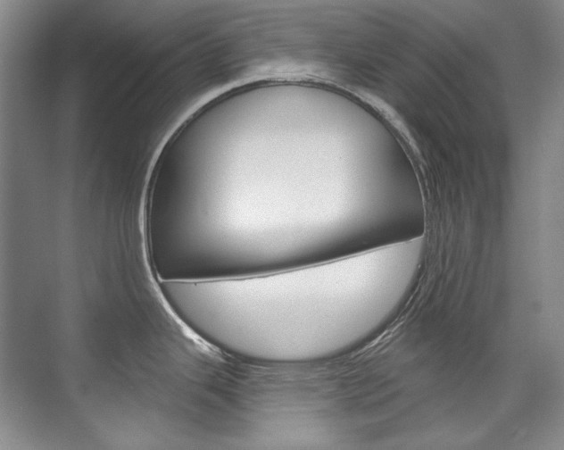 X0000075841343200609150902