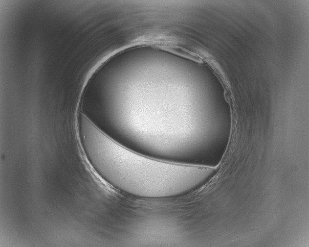 X0000075841344200609150902