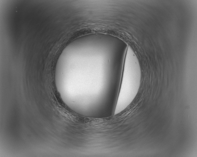 X0000075841345200609150901
