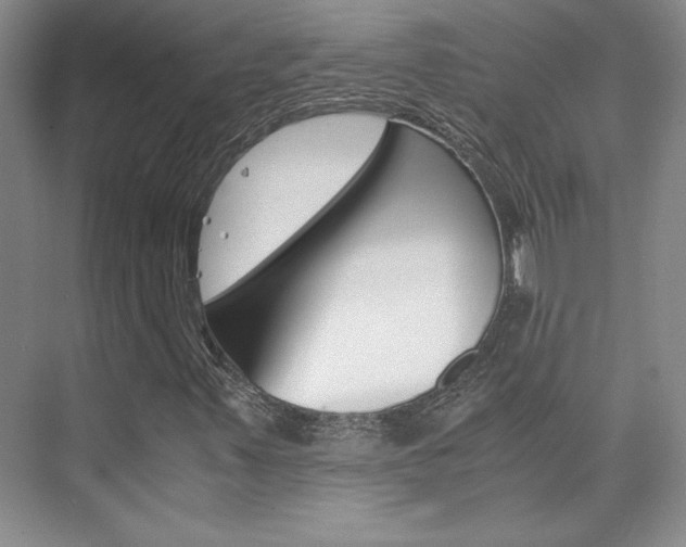 X0000075841347200609150901
