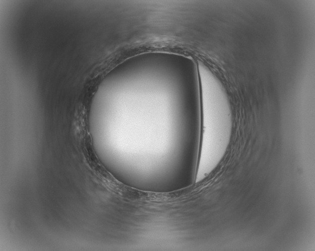 X0000075841349200609150901