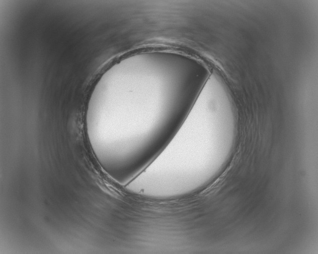 X0000075841355200609150901
