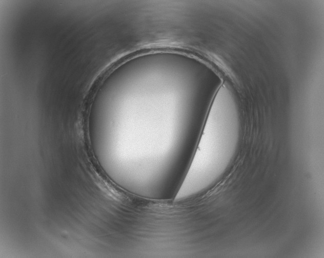 X0000075841356200609150901