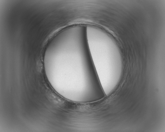 X0000075841363200609150901