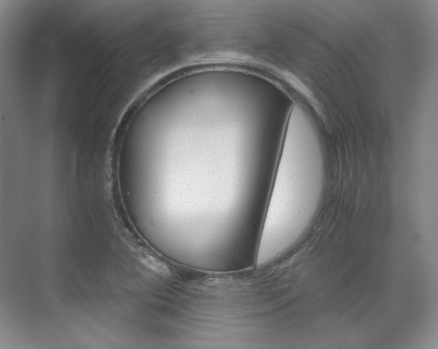 X0000075841364200609150901