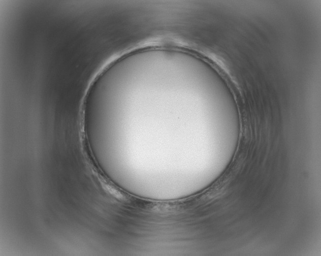 X0000075841366200609150901