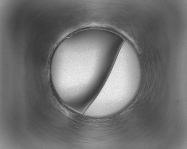 X0000075841367200609150901