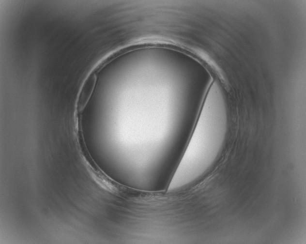 X0000075841372200609150901