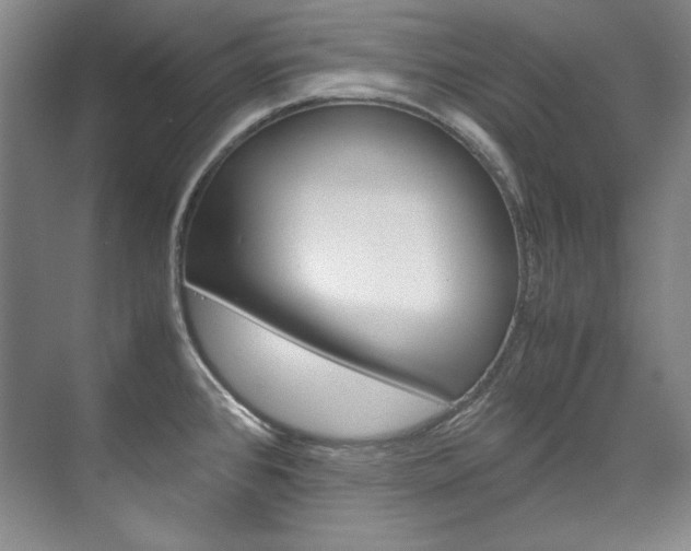 X0000075841384200609150900