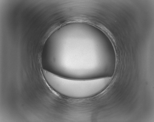 X0000075841385200609150900