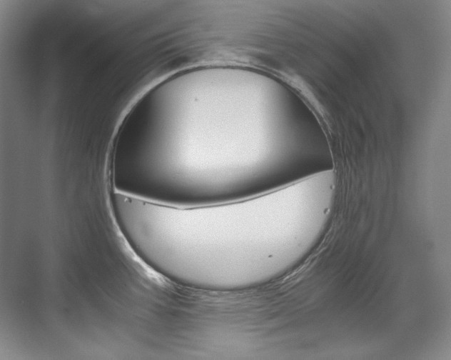 X0000075841387200609150900