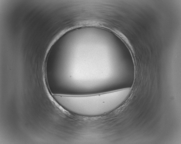 X0000075841389200609150900
