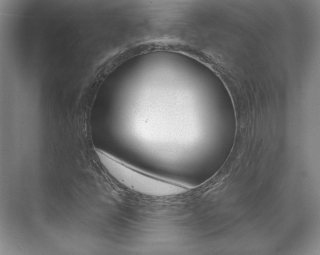 X0000075841398200609150900