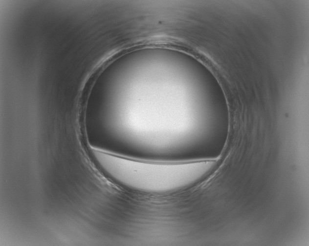 X0000075841410200609150900