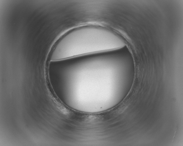 X0000075841412200609150900