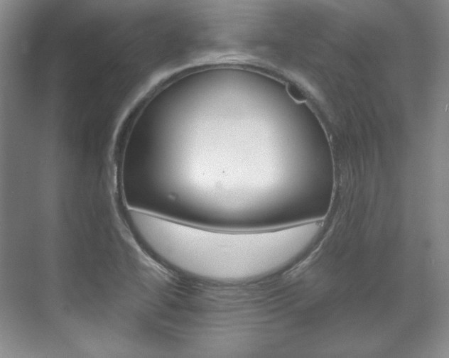 X0000075841414200609150900