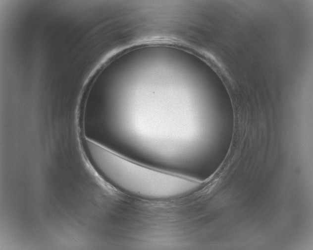 X0000075841422200609150900